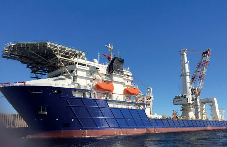 الجرافات البحرية الوطنية تحتفل بيوم المرأة الإماراتية