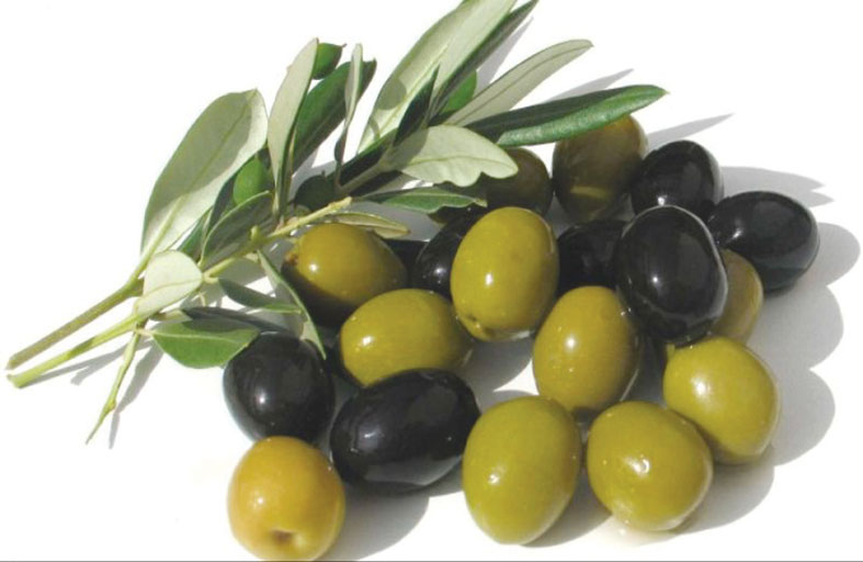 فوائد الزيتون 
