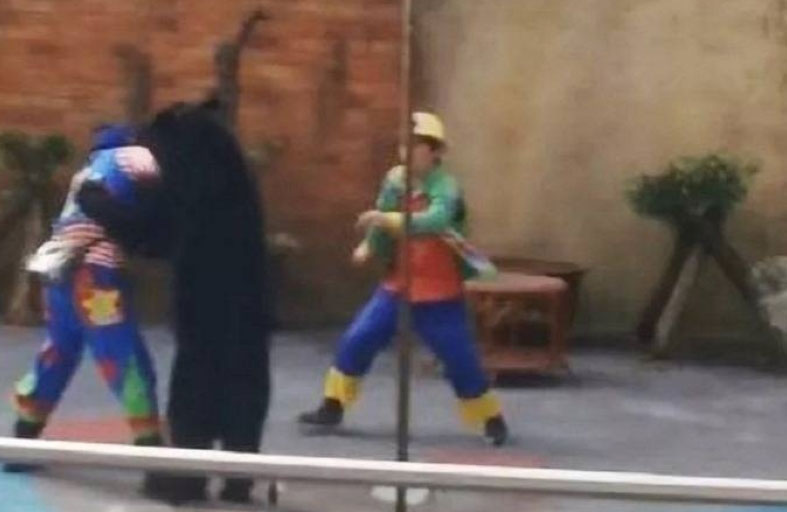 دب بهاجم مدربه في السيرك