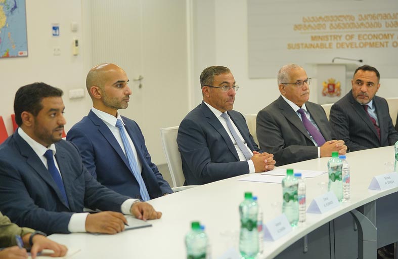 وفد اقتصادي إماراتي يزور جورجيا