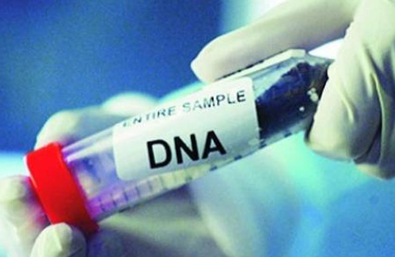 فحص حمض نووي يكشف سراّ دفن مع الأم