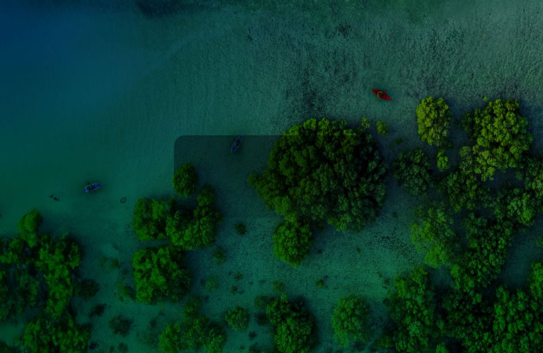 بيئة أبوظبي تُصدر لائحة جديدة لتنظيم الاستعداد والاستجابة للطوارئ البيئية