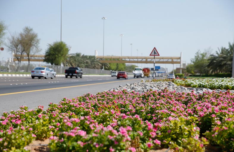 بلدية مدينة أبوظبي تنفذ مبادرة حصر أصول التجميل الطبيعي في أبوظبي  