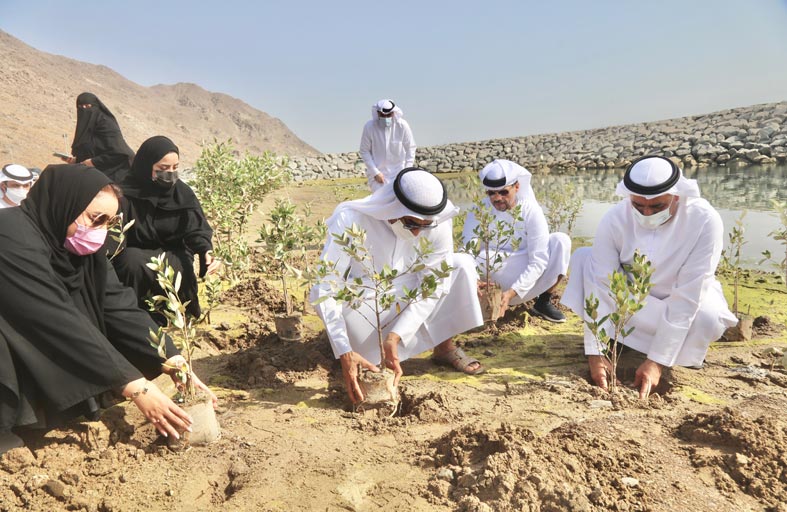 وزير التغير المناخي والبيئة يزور مزارع محلية وميناء الصيادين في منطقة ضدنا بالفجيرة