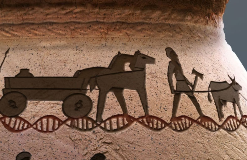 الزهايمر والتصلب اللويحي.. هل هما من تركة الإنسان القديم؟