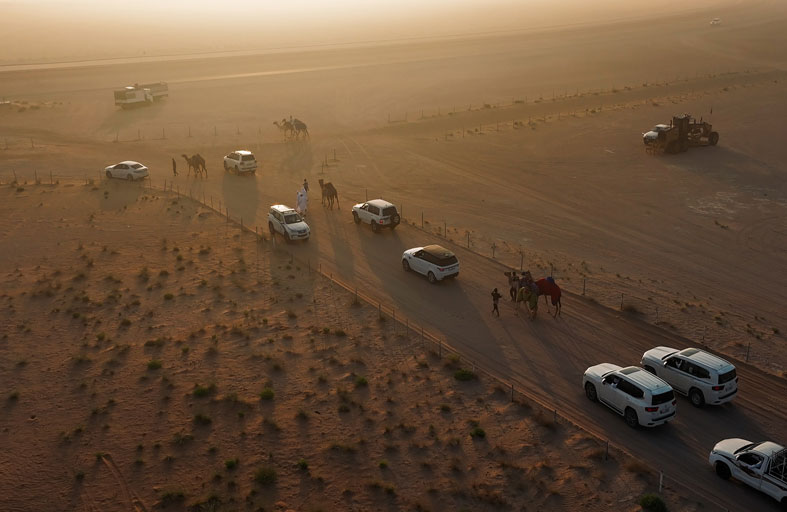 انطلاق أولى محطات مزاينات مهرجان الظفرة بدورته الـ 19من سويحان 