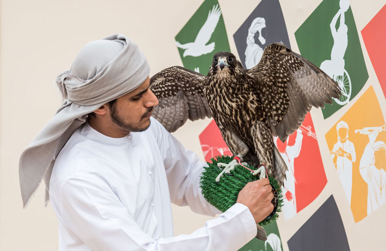 «كفو» و«جي 2» يحصدان الرموز في فئات العامة