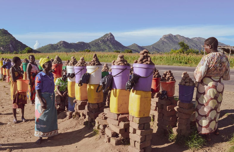 «نماء» تطلق مشروعاً لريادة الأعمال الزراعية لـ 900 امرأة في ملاوي