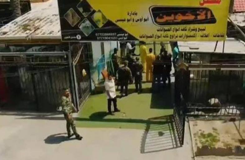 كلب يكشف جريمة اغتصاب وقتل