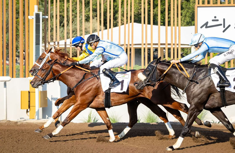 43 خيلا تشارك في السباق التجريبي العاشر بمضمار جبل علي