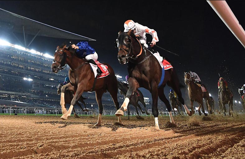 «هيئة سباق الخيل»: الإمارات مركز رئيسي لتصدير واستيراد الخيل في المنطقة