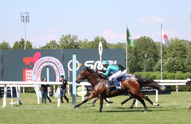 إيطاليا تحتضن اليوم المحطة الثالثة لكأس رئيس الدولة للخيول العربية