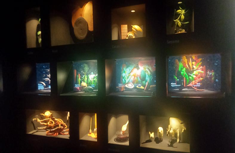 جناح فنزويلا يعرض منحوتات فنية وأعمال مدمجة في متحف مصغر بأكسبو 2020 