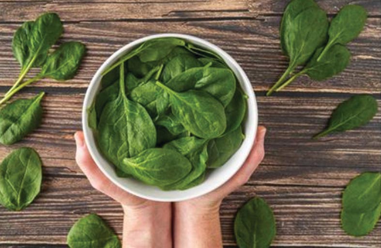 السبانخ أغنى الخضراوات الورقية بالمغذيات