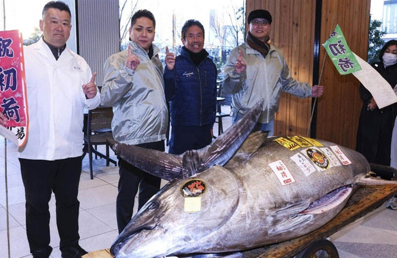 بيع تونة بـ1.3 مليون دولار