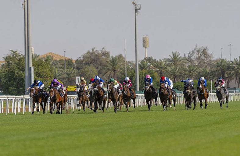 «مضمار أبوظبي» يفتتح موسم السباقات في الإمارات بمشاركة 96 خيلا