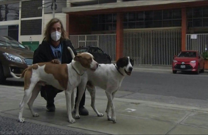 محتجز بسبب كورونا يطالب بعودة كلبيه معه 