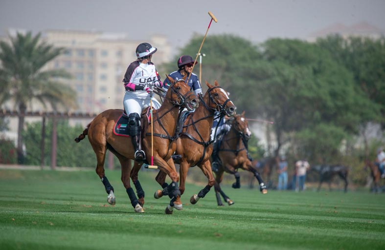 الإمارات يتصدر مجموعته والذئاب تخطف الفارس بـ «الذهبي»