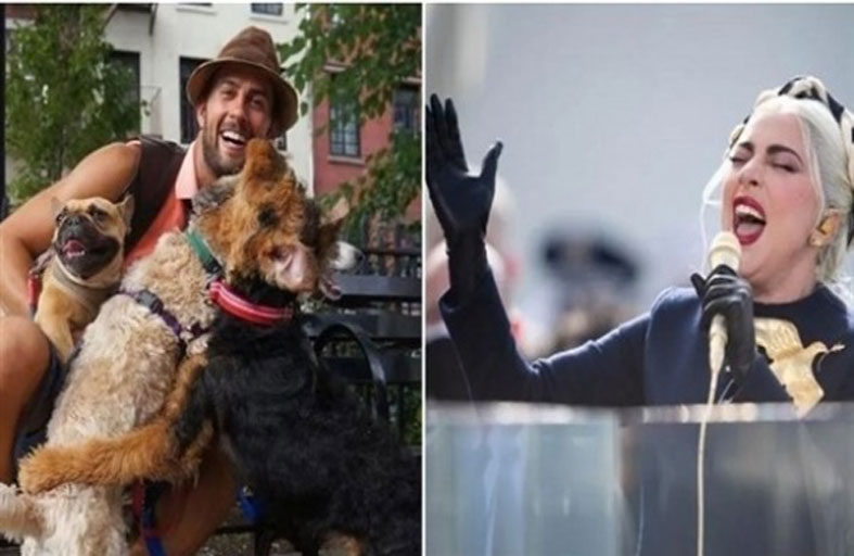 عقوبة قاسية لمطلق النار على راعي كلاب غاغا