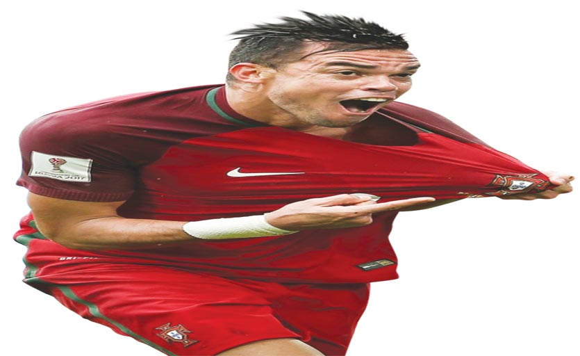 بيبي حائط دفاعي دائم الصلابة 