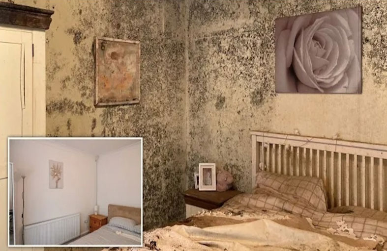 يتبرعون بـ 150 ألف دولار لمسنة لتنظيف منزلها 