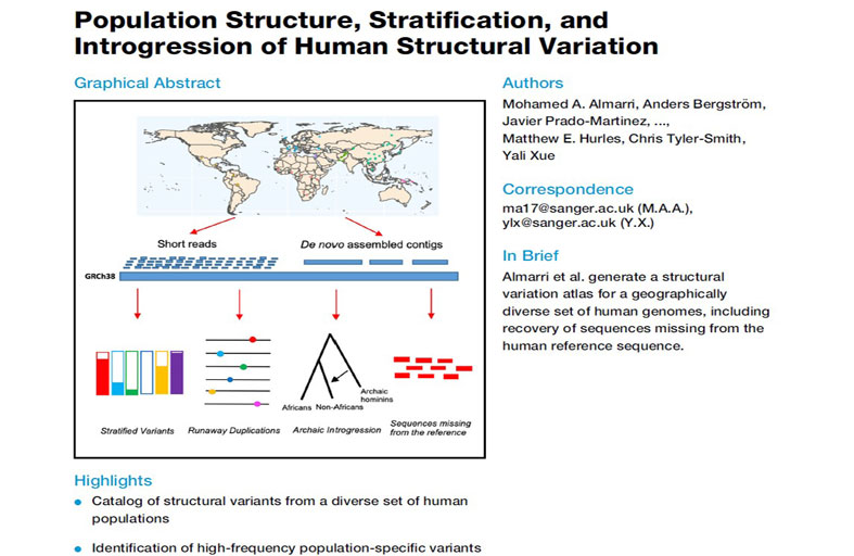 ضابط في شرطة دبي يترأس «الجينوم العربي» لجمع وتحليل العينات الجينية بين الشعوب العربية