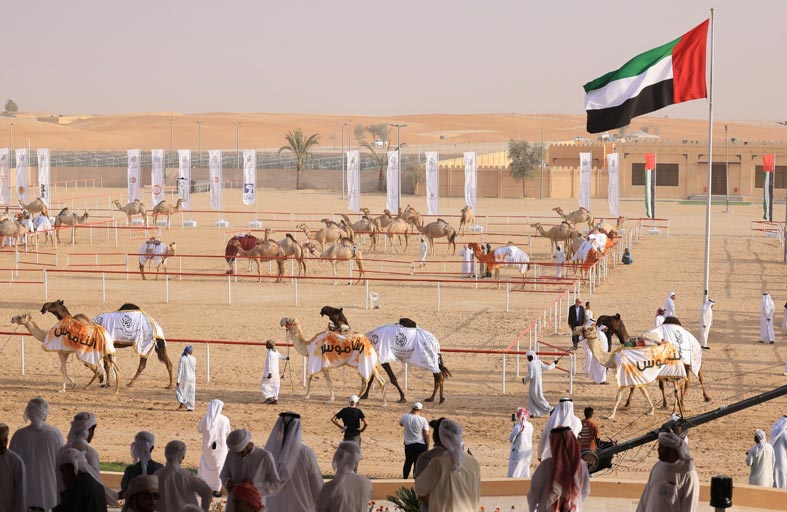 تحت رعاية رئيس الدولة.. مهرجان الظفرة ينطلق 21 أكتوبر