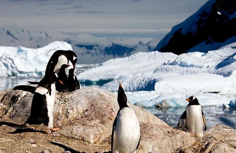 حتى القارة القطبية الجنوبية شهدت موجة حرّ طويلة خلال شتائها