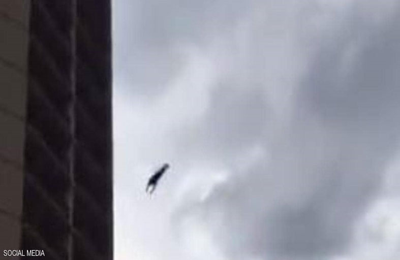 فيديو الانتحار من ارتفاع شاهق.. ما علاقته بكورونا؟