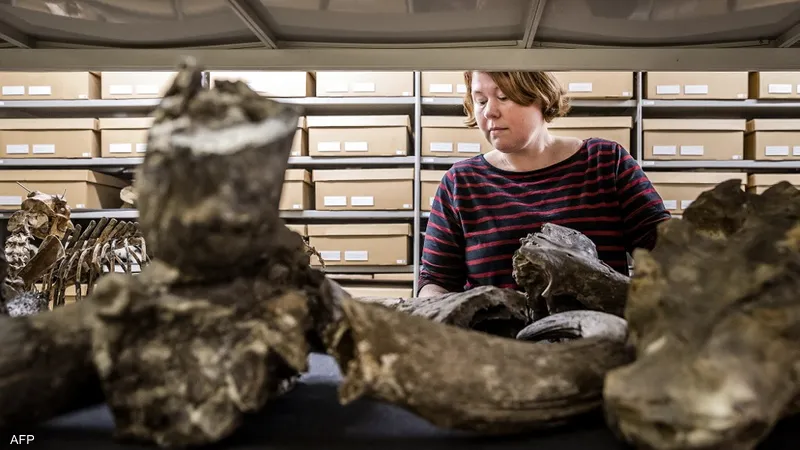 إندونيسيا تطالب هولندا بإعادة كنوز تاريخية