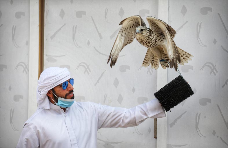 «أف 3» والظفرة و«إم 7» تتصدر «القرموشة» لـ «الشيوخ» في بطولة فزاع للصيد بالصقور