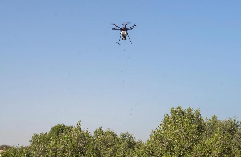 هيئة البيئة وإنجي تعلنان انتهاء المرحلة الثانية من مشروع إعادة تأهيل القرم