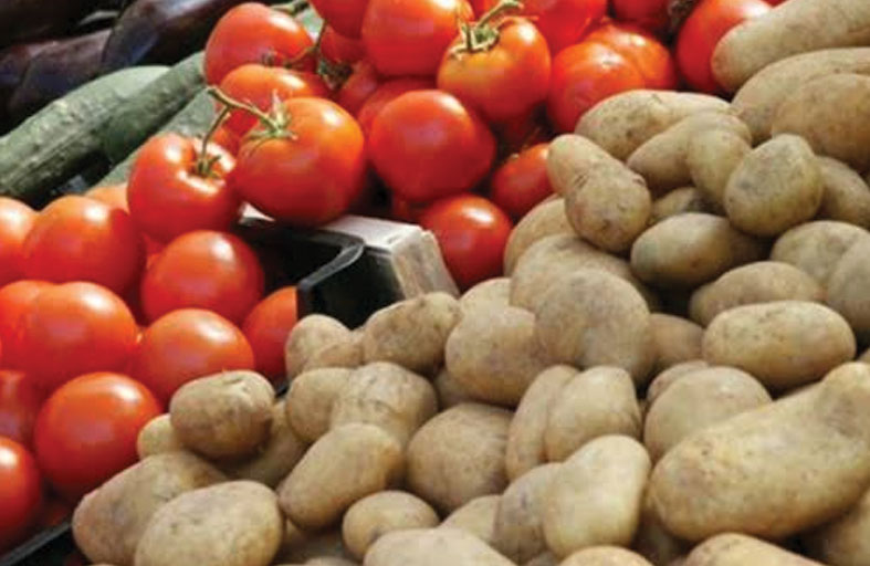 بالتهجين مع الطماطم قبل 9 ملايين سنة.. علماء يكشفون أصول البطاطس