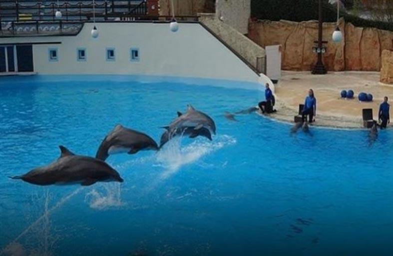 إغلاق حوض الدلافين في أستيريكس بباريس