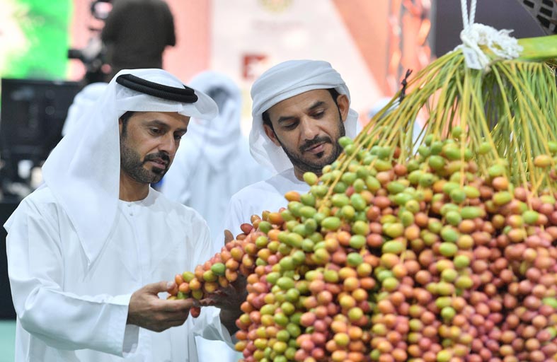 مهرجان ليوا للرطب يواصل فعالياته ويتويج الفائزين بمسابقة أكبر عذج