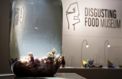 متحف للمأكولات المقززة