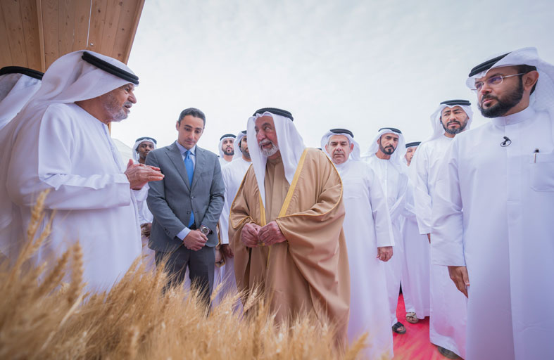 حاكم الشارقة يشهد حصاد الموسم الثالث لقمح سبع سنابل في مليحة