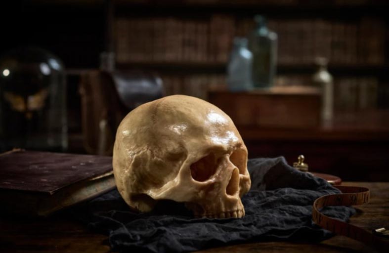 خبيرة متاحف تتخلى عن عملها من أجل الطعام