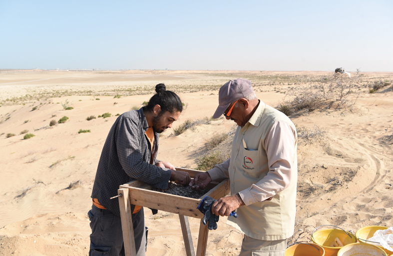 أم القيوين.. مواقع أثرية وقصص يعود تاريخها الى العصر الحجري