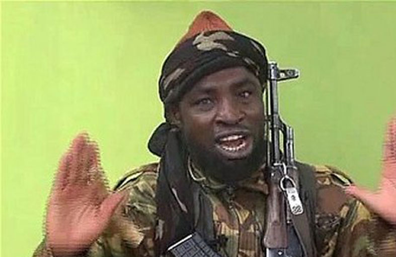 النيجر تعلن قتل زعيم في جماعة بوكو حرام 