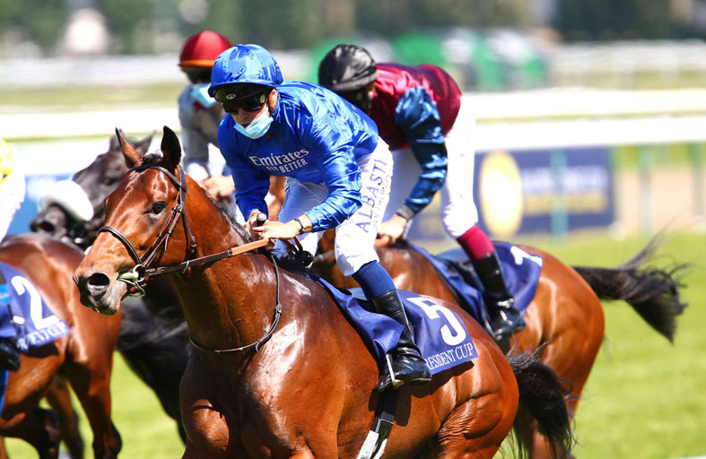 دريان لمنصور بن زايد يتوج بلقب الجولة الأولى من كأس صاحب السمو رئيس الدولة للخيول العربية الأصيلة