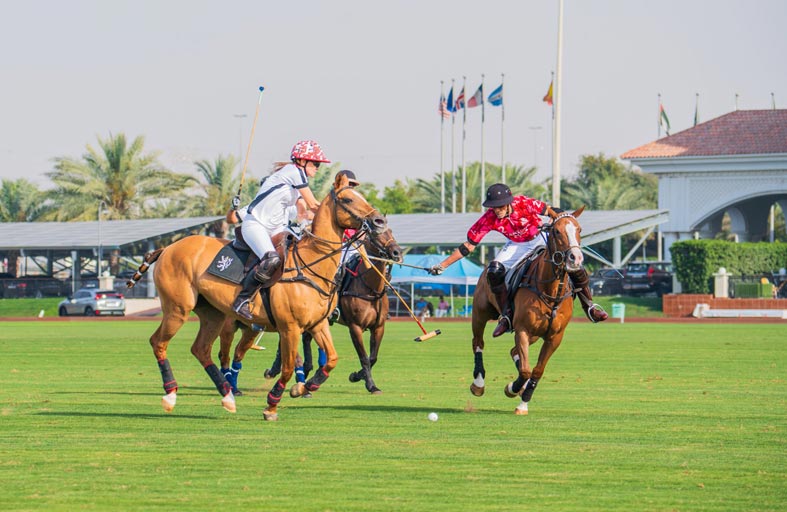 «الحبتور » يكرم الرعاة والمتفوقين وأصحاب الألقاب في «أمسية» اليوم