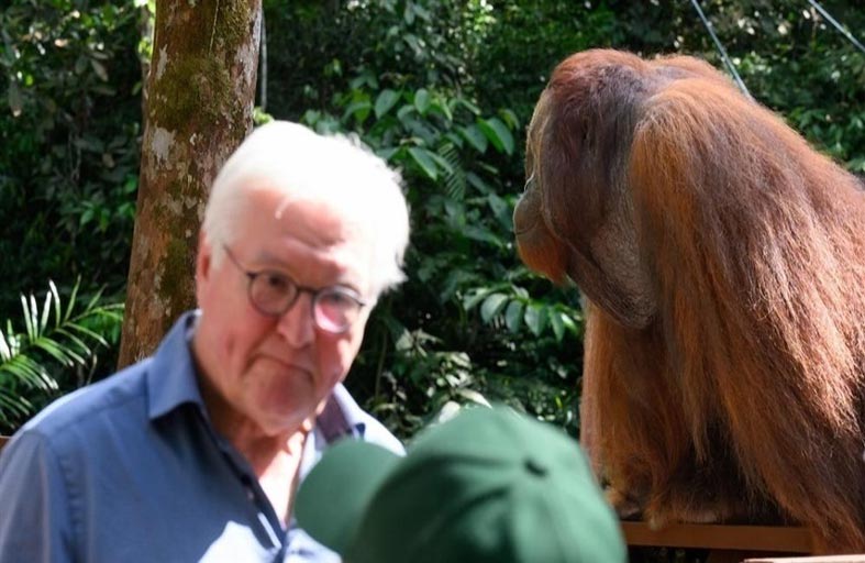 إنسان الغاب يخيف الرئيس الألماني