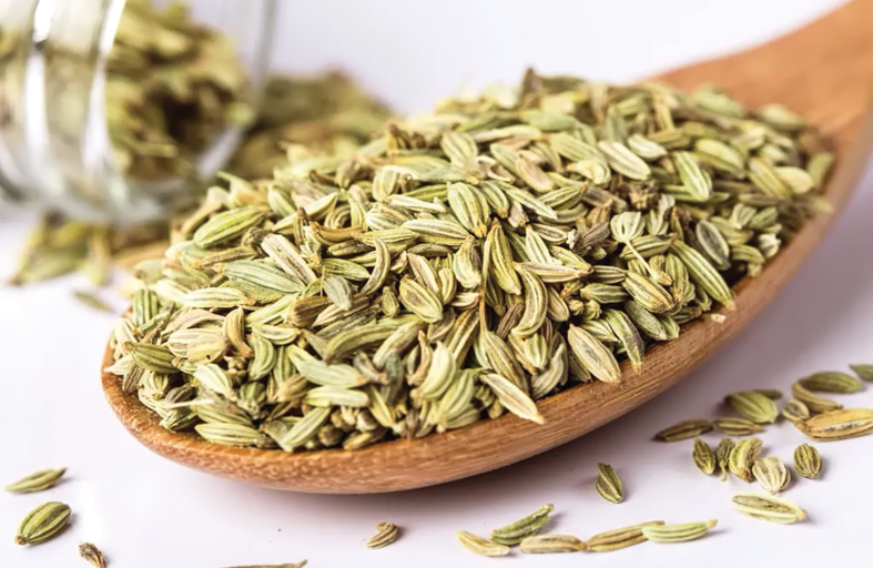     الشمر للحامل