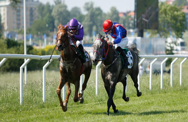 اليوم.. مضمار «كابانيللي» الإيطالي يستضيف سباق «أم الإمارات».. وكأس زايد يجذب النخبة في السويد