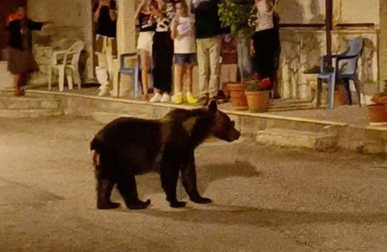 غضب في إيطاليا بعد مقتل دبة بالرصاص