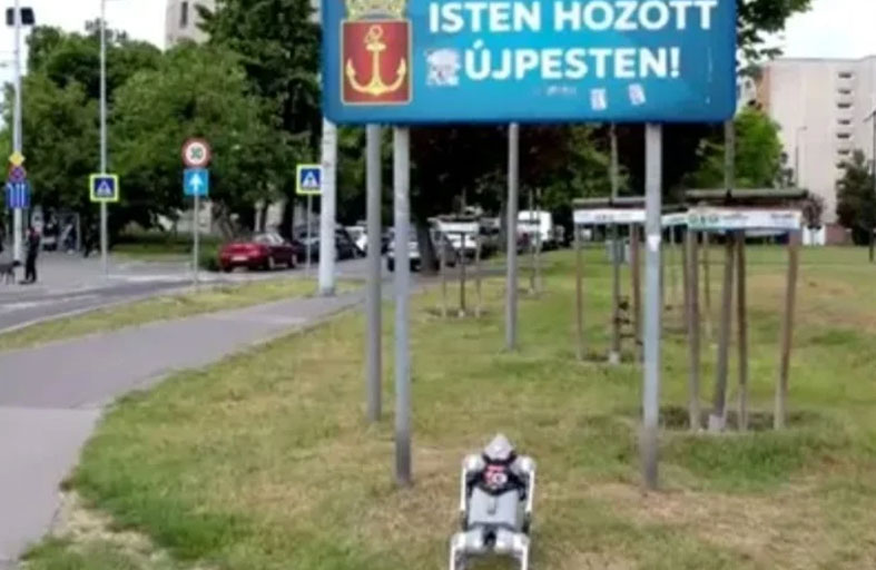 كلب روبوتي لأجل رفاهية الحيوان بين الأطفال