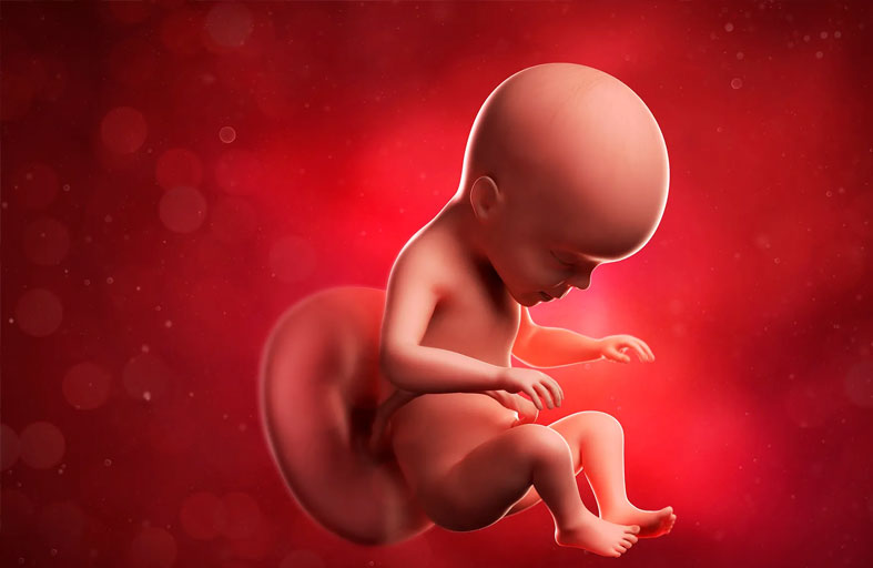 «جرّة» بداخلها جنين بشري