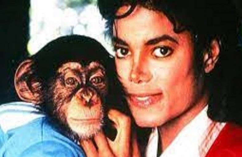 قرد مايكل جاكسون يحتفل بعيد ميلاده