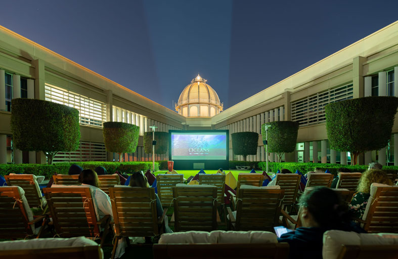 جامعة السوربون أبوظبي تطلق مبادرة عام المحيط البيئية